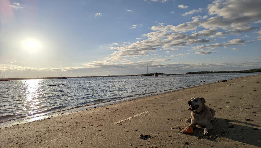 Layla Beach.png
