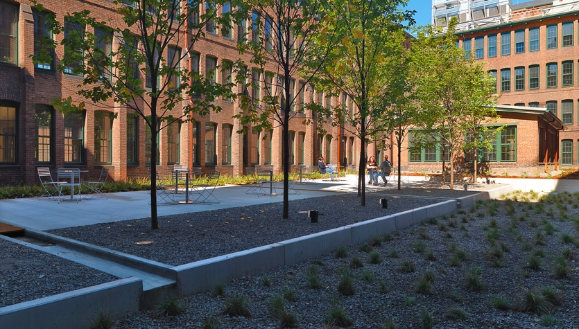 WWF_Dennison Court_Rain Garden.jpg