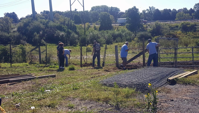 20170908_095145small.jpg
