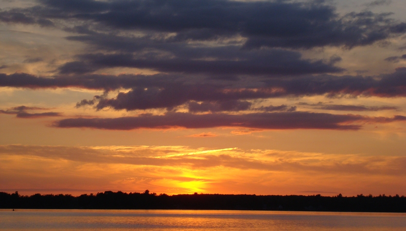 DSC00461.JPG
